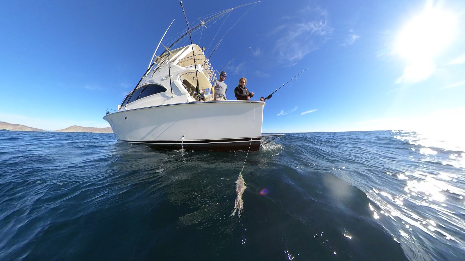 Daytime Deep Drop Swordfishing tips & techniques Phenix Rods